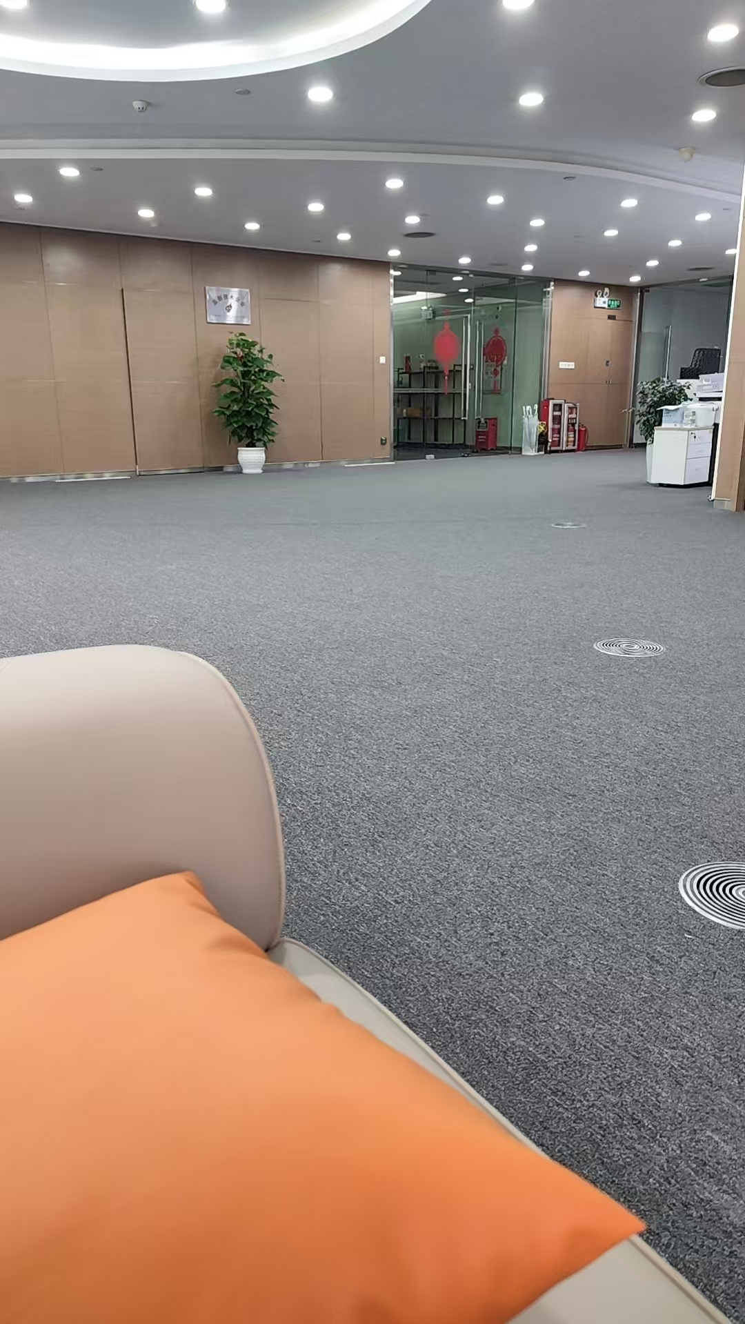 佳宇和 Lily 的故事照片