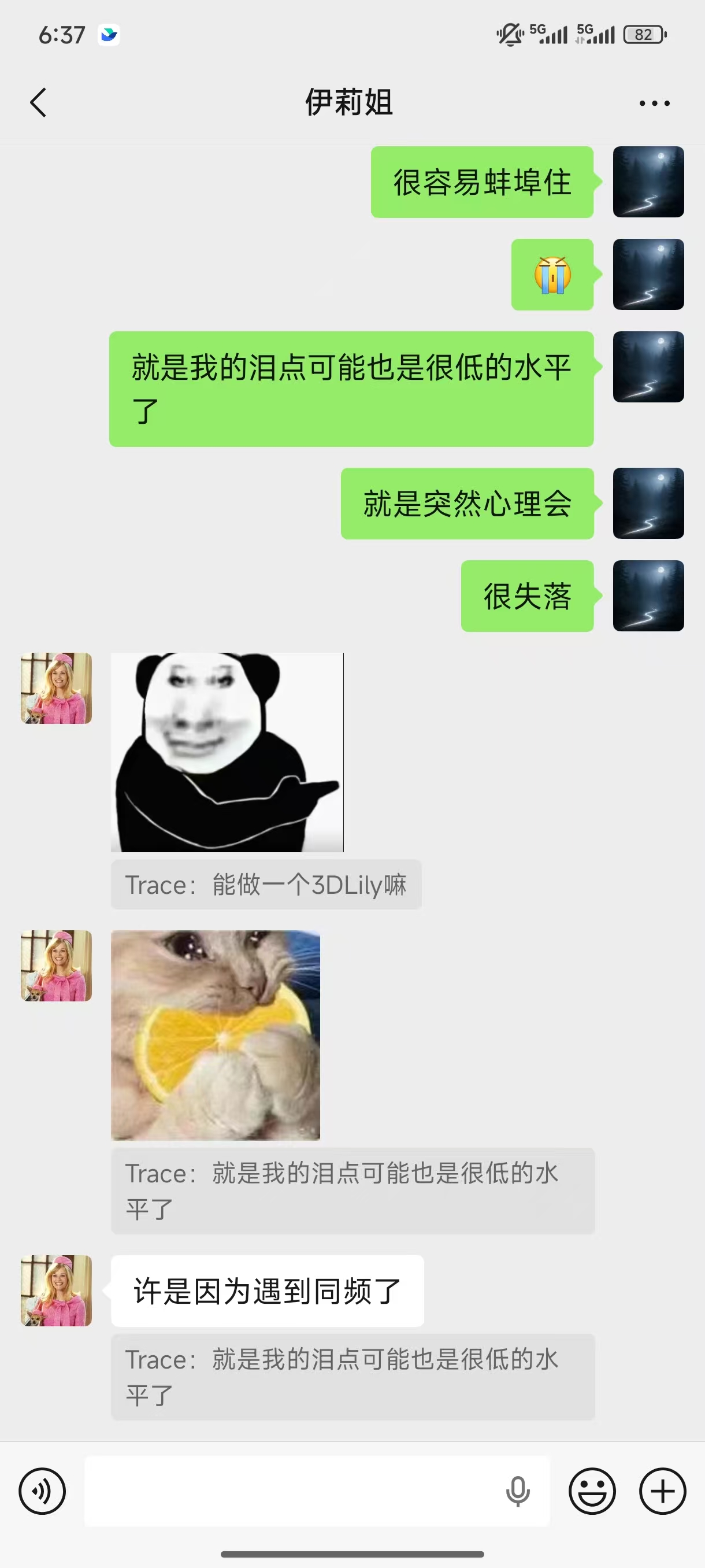佳宇和 Lily 的待整理照片