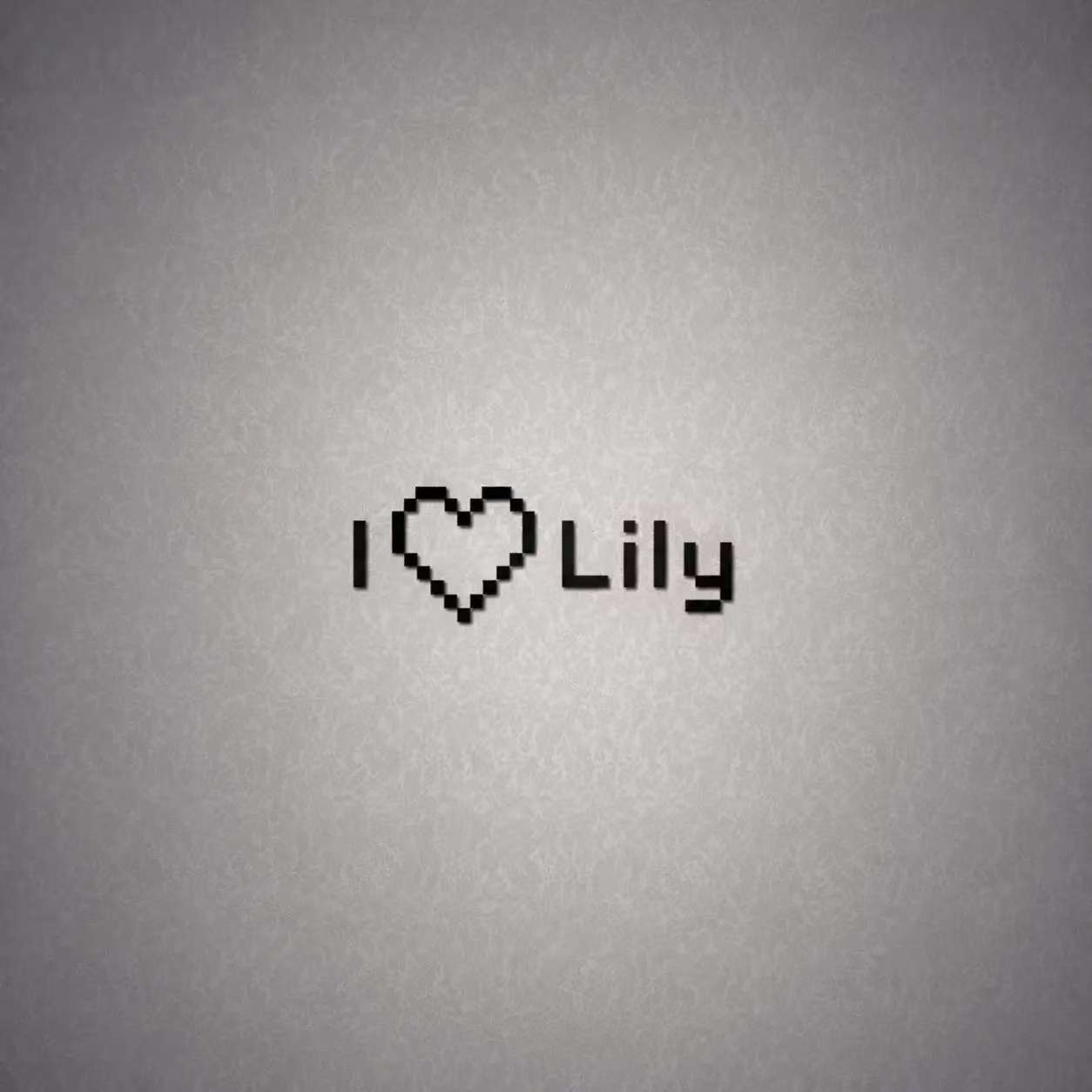 佳宇和 Lily 的待整理照片